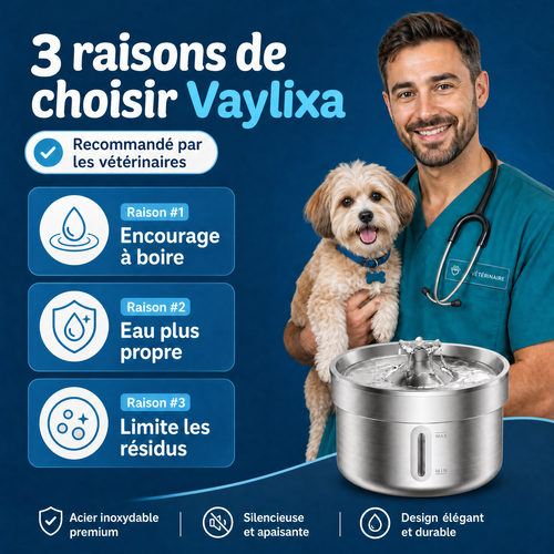 Fontaine d'eau silencieuse inox PetPure