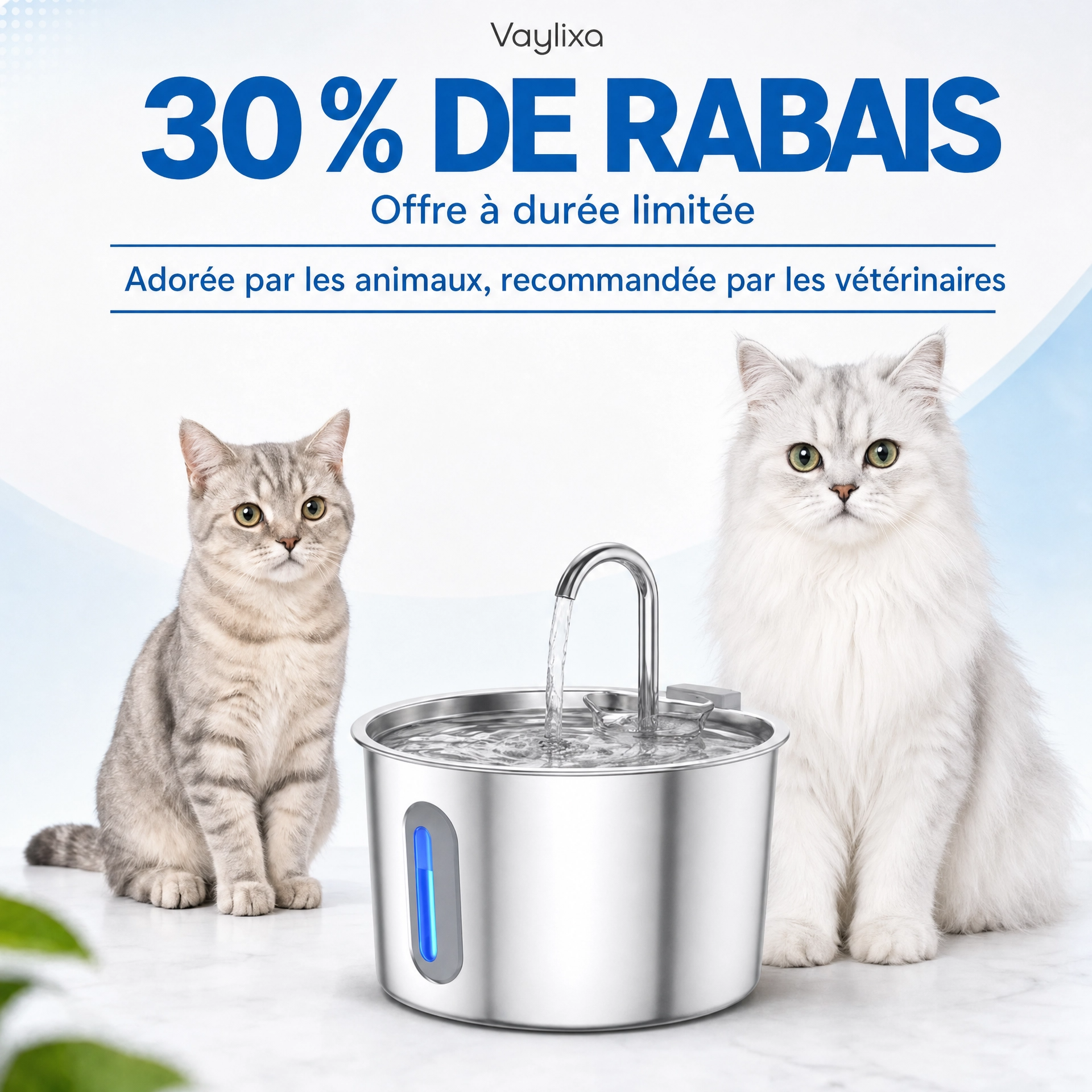 Fontaine d'eau silencieuse inox PetPure